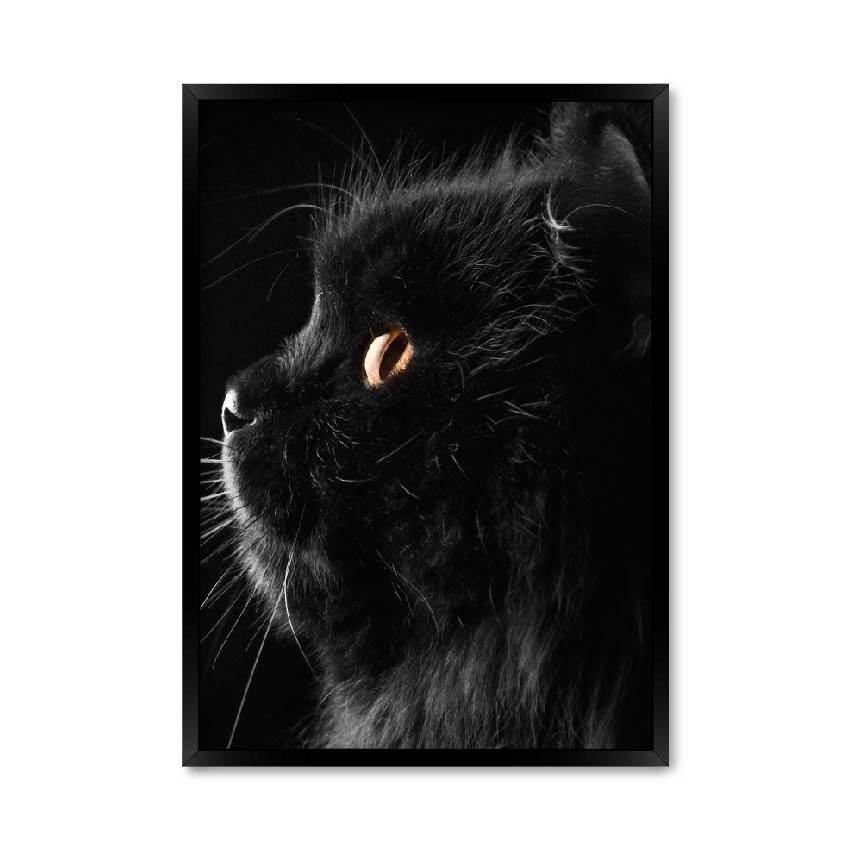 Постер "Black cat"