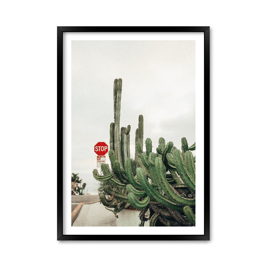 Постер "Cactus"