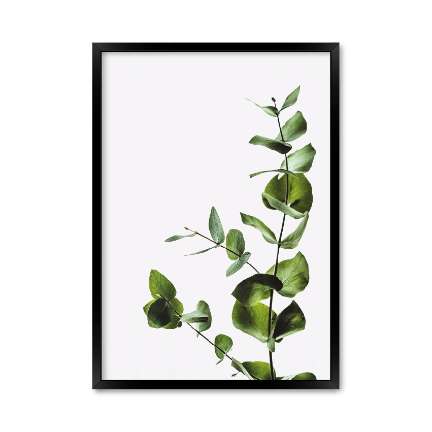 Постер "Minimalist plant"