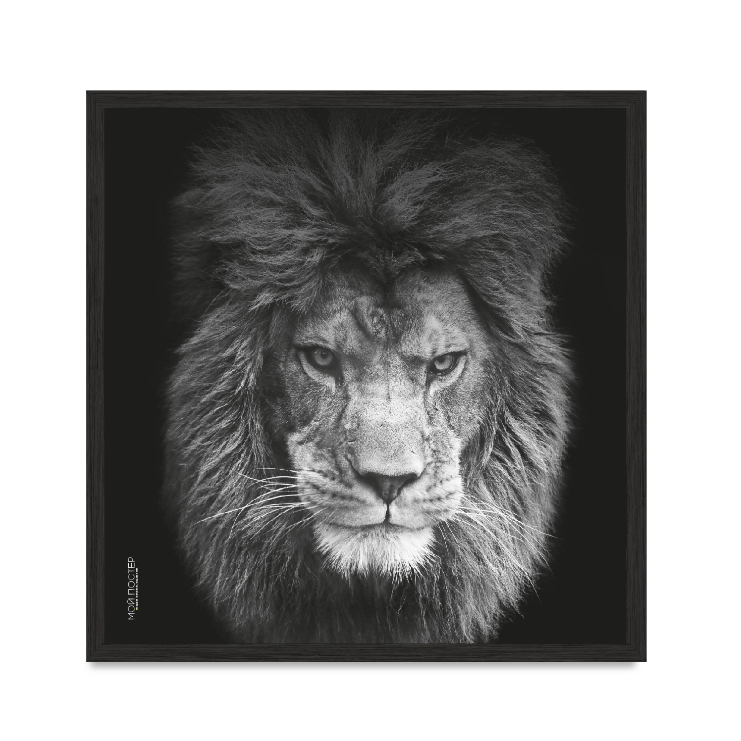 Постер "Lion vol 5."