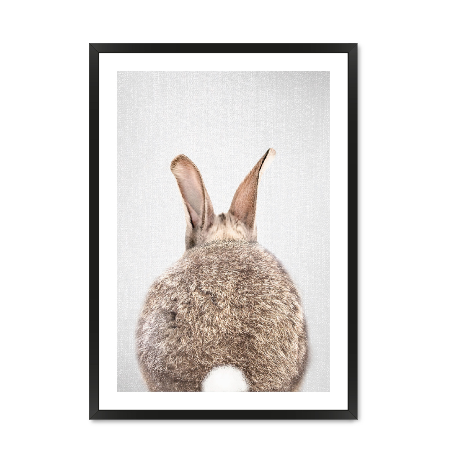 Постер "Кролик"