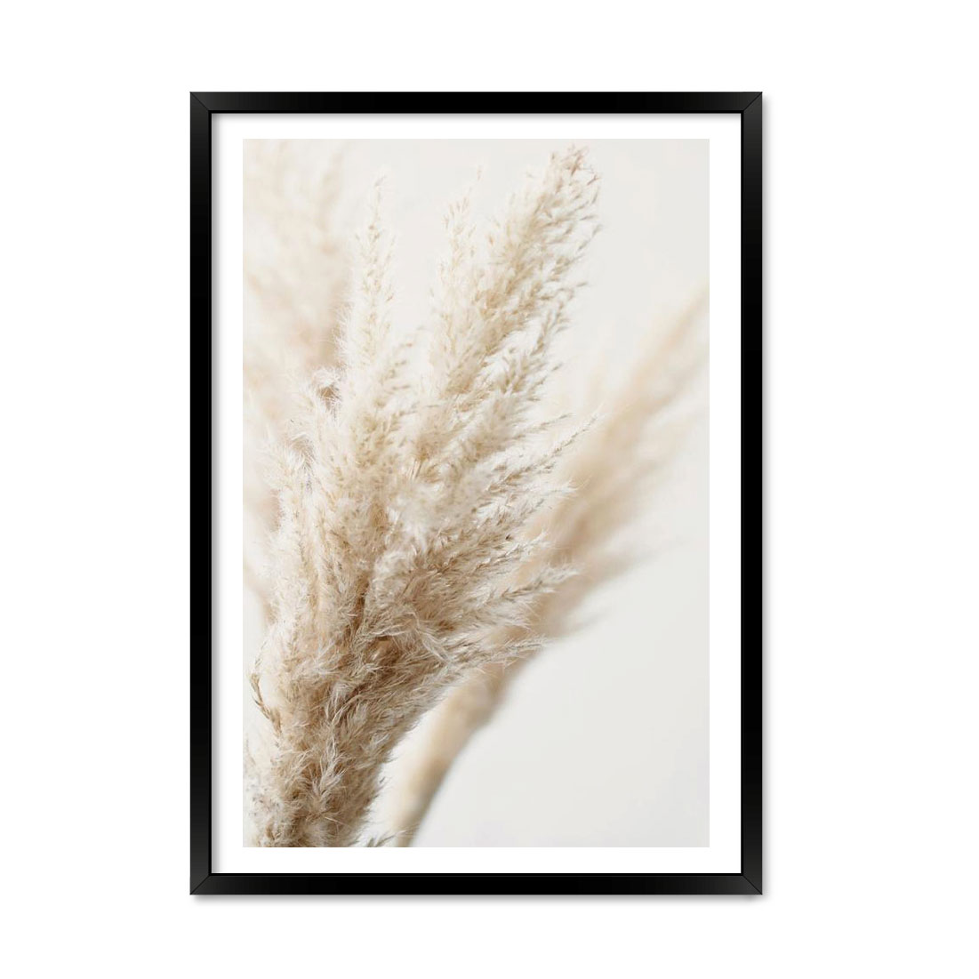 Набор постеров "Spikelets of Wheat"