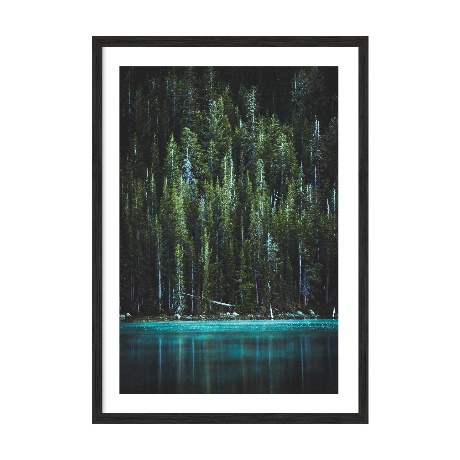 Постер "Forest"