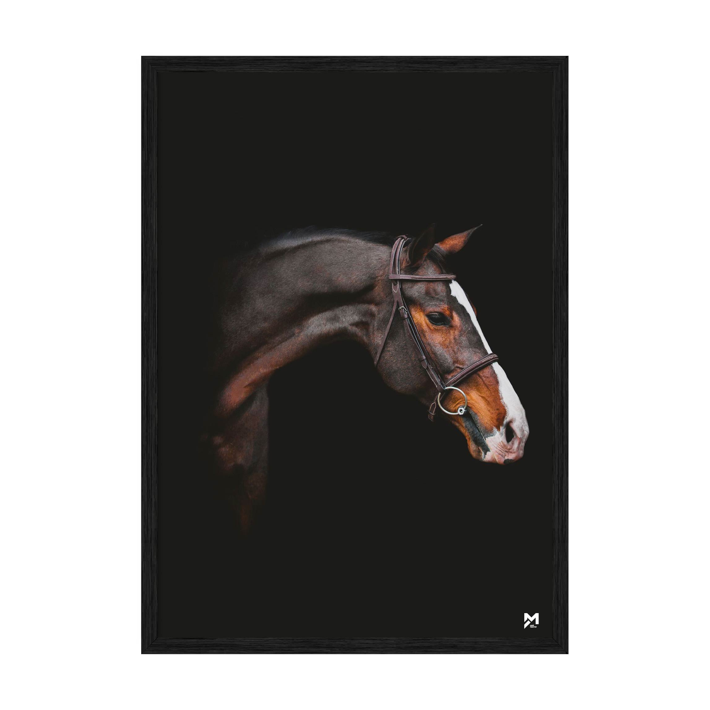 Постер "Horse"