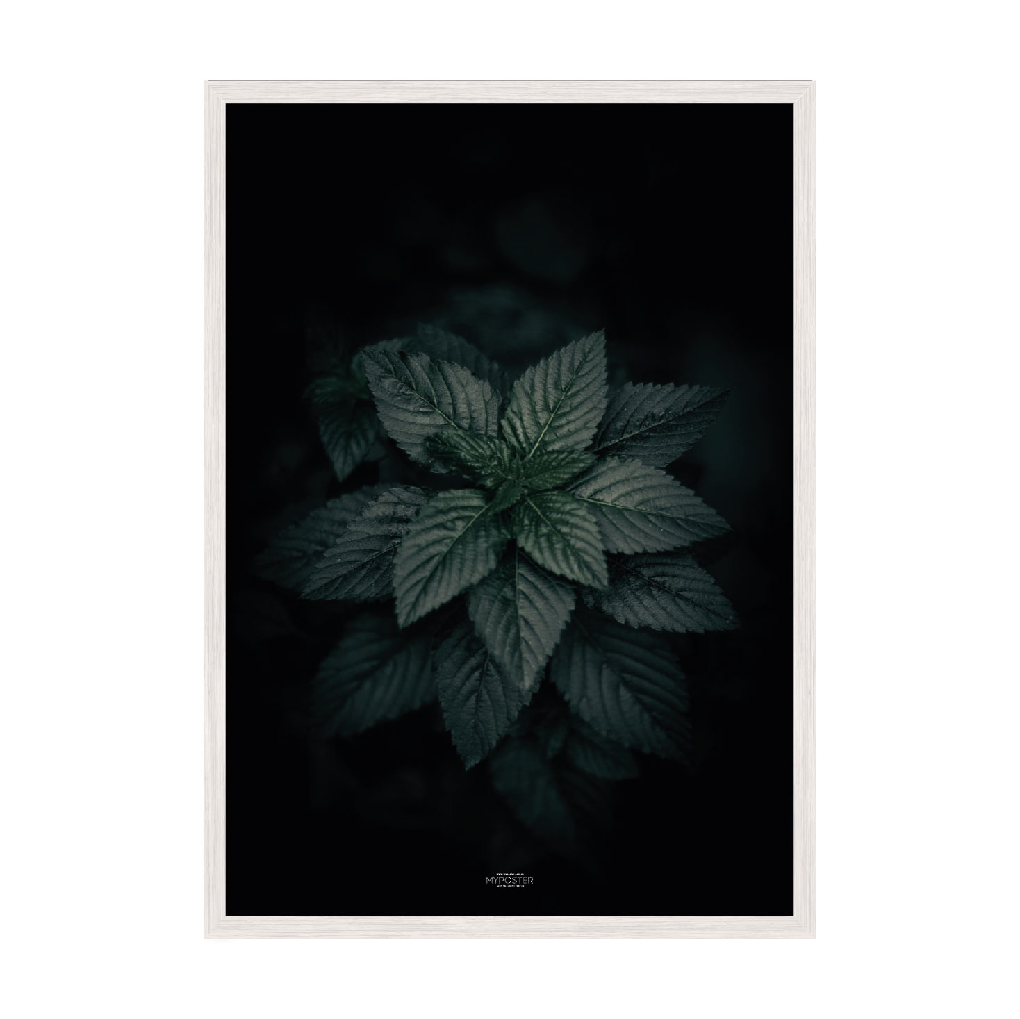 Постер "Dark Green"